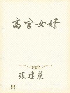 高官女婿