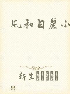 风和日丽小说
