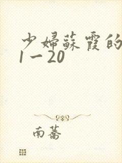 少妇苏霞的沉沦1一20