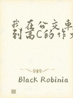 我在公交车上弄到高C的作文