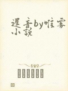 迟音by唯雾的小说