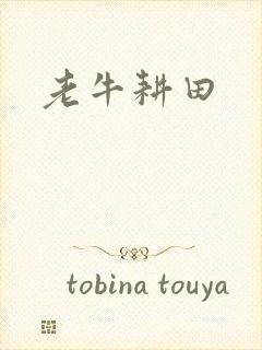 老牛耕田