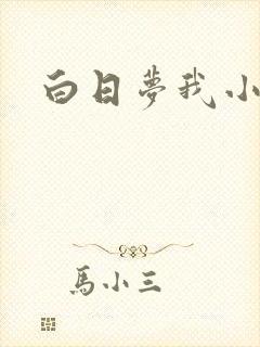 白日梦我小说
