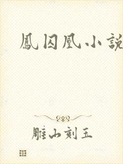 凤囚凰小说