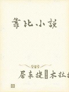 靠比小说