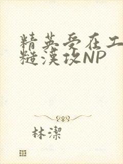 精英受在工地被糙汉攻NP