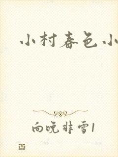 小村春色小说