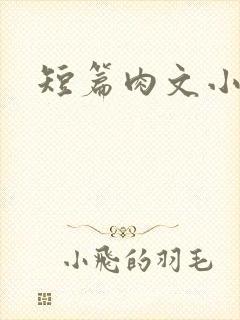 短篇肉文小说