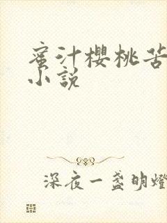 蜜汁樱桃苦咖啡小说