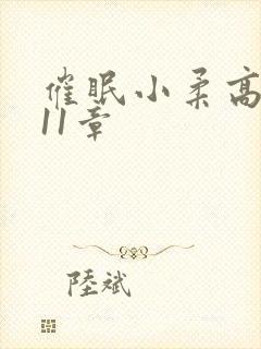 催眠小柔高达第11章