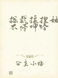 总裁揉捏她两乳不停呻吟