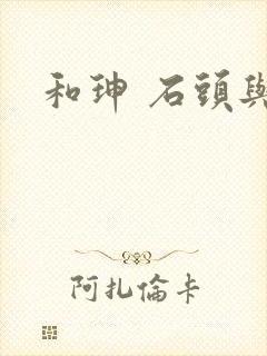 和珅 石头与水封面