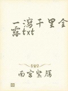 一泻千里金银花露txt