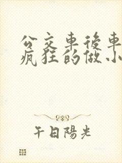 公交车后车座的疯狂的做小