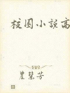 校园小说高h