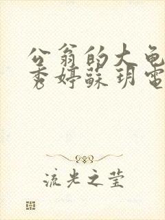 公翁的大龟挺进秀婷苏玥电影