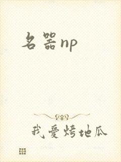 名器np
