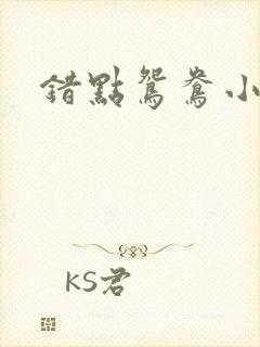 错点鸳鸯小说
