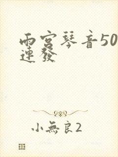 雨宫琴音500连发