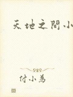 天地之间小说