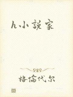 h小说家