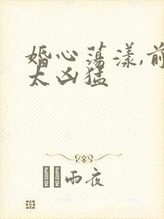 婚心荡漾,前夫太凶猛