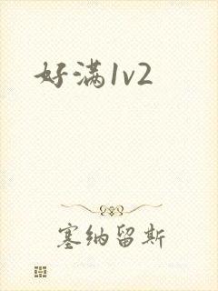 好满1v2