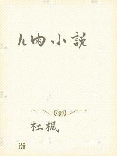 h肉小说