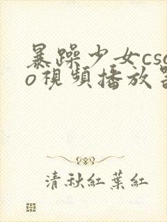 暴躁少女csgo视频播放器推荐