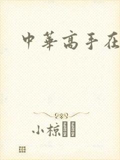 中华高手在异世