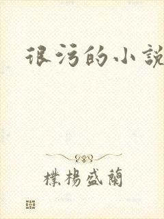 很污的小说