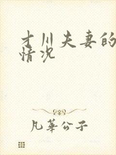 才川夫妻的恋爱情况