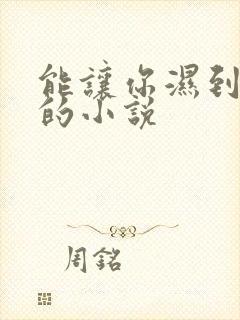 能让你湿到不行的小说