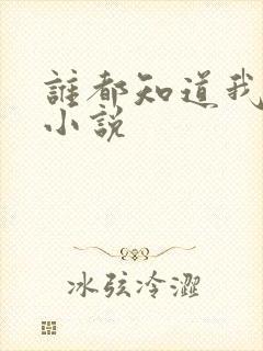 谁都知道我爱你小说