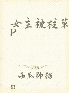 女主被校草们NP