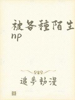 被各种陌生人 np