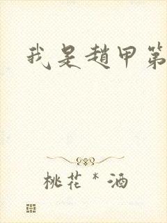 我是赵甲第小说