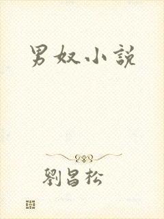 男奴小说