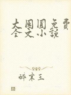 大团圆免费阅读全文小说封面