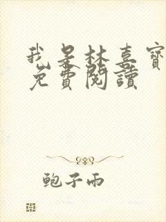 我是林喜宝小说免费阅读