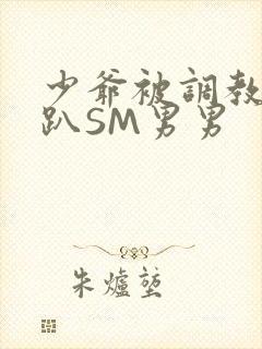 少爷被调教室跪趴SM男男