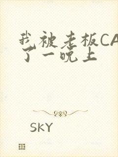 我被老板CAO了一晚上