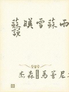 苏映雪苏雨柔小说
