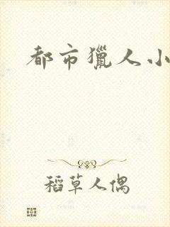 都市猎人小说