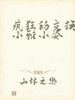疯狂的交换小静小雅小姿