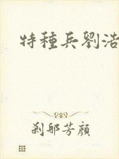 《特种兵刘浩》小说封面