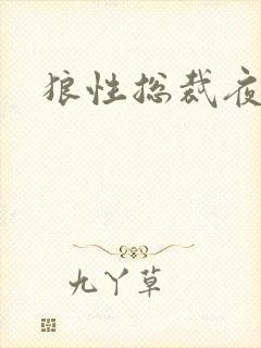 狼性总裁夜欢宠