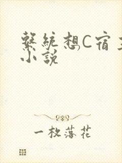 系统想C宿主的小说