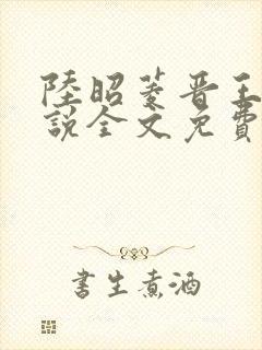 陆昭菱晋王的小说全文免费阅读