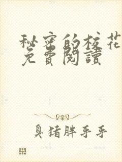 秘密的校花小说免费阅读